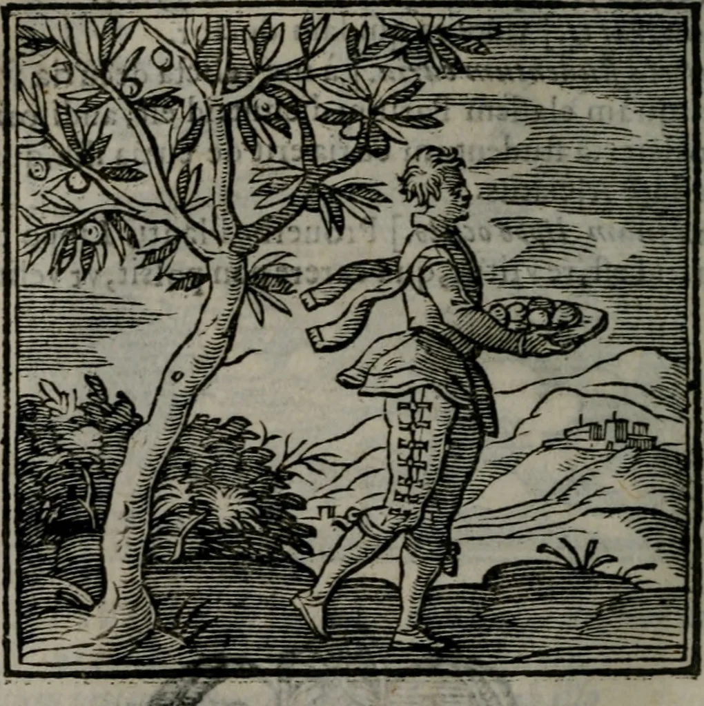 An illustration from Emblemata v. cl. Andreae Alciati : cu imaginibus plerisque restitutis ad mentem auctoris, 1618, leaf 291