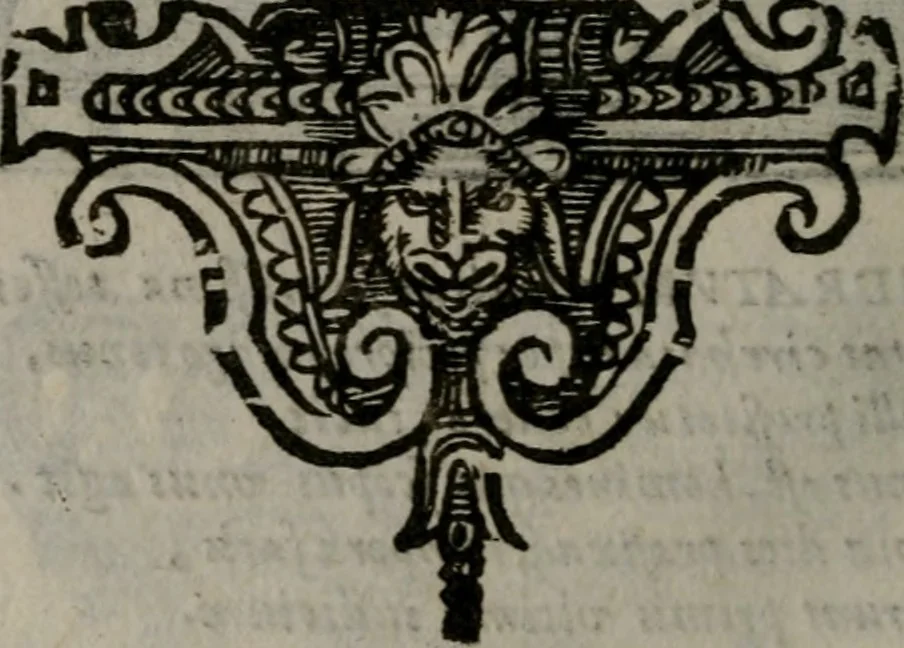 An illustration from Emblemata v. cl. Andreae Alciati : cu imaginibus plerisque restitutis ad mentem auctoris, 1618, leaf 317