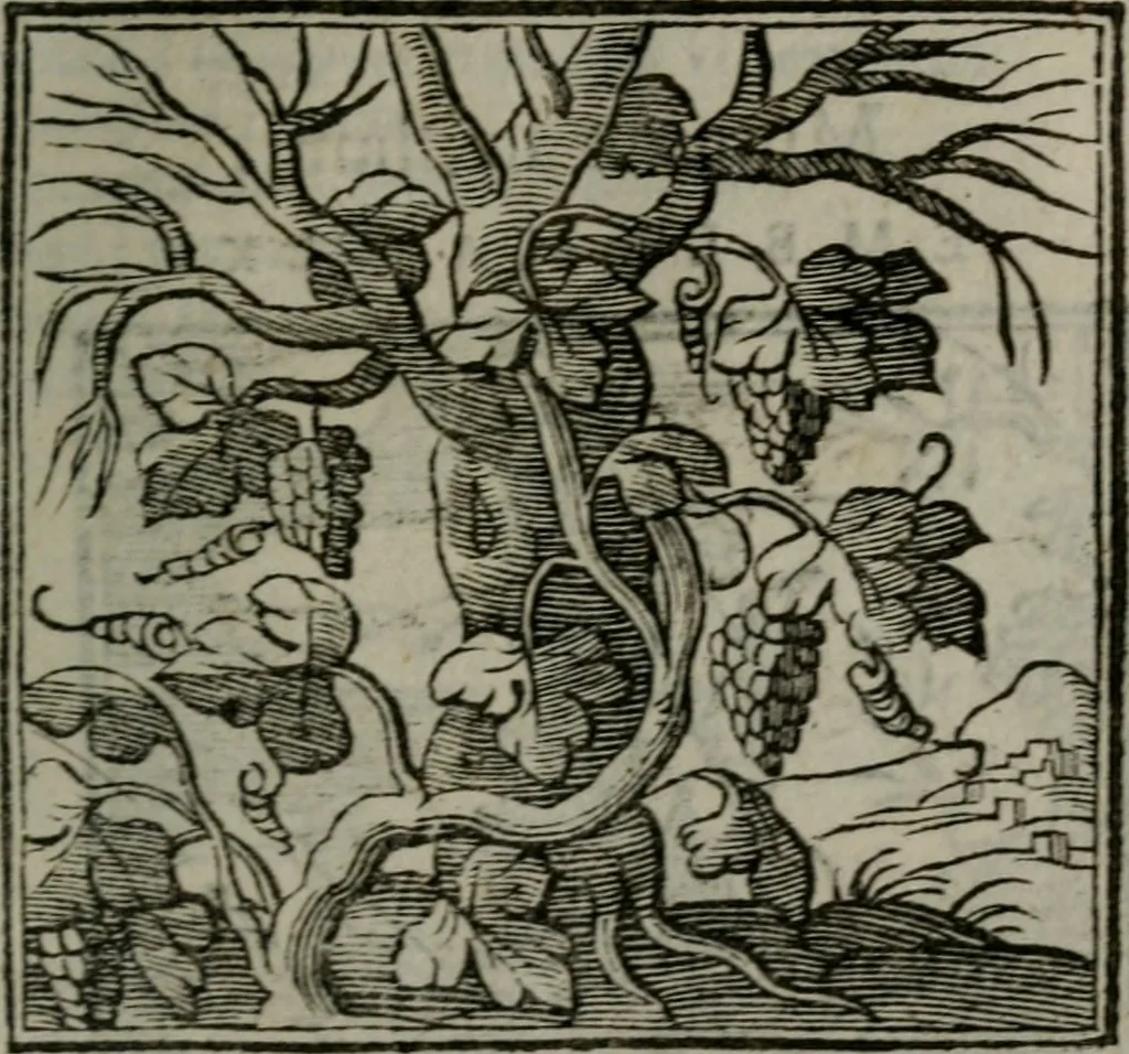 An illustration from Emblemata v. cl. Andreae Alciati : cu imaginibus plerisque restitutis ad mentem auctoris, 1618, leaf 320