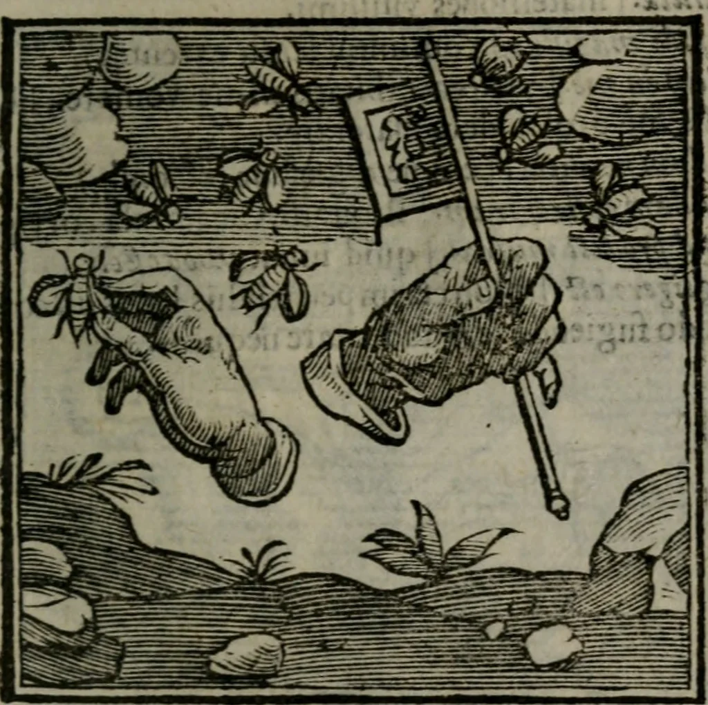 An illustration from Emblemata v. cl. Andreae Alciati : cu imaginibus plerisque restitutis ad mentem auctoris, 1618, leaf 326