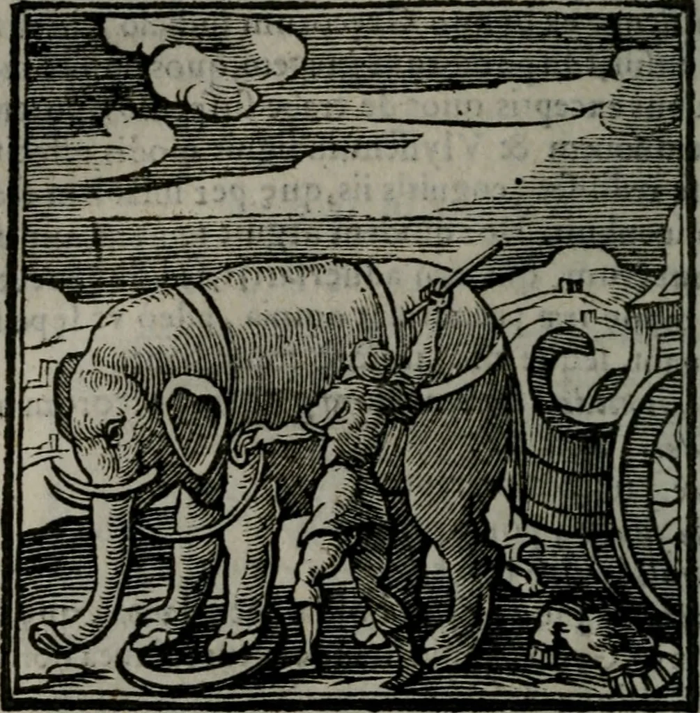 An illustration from Emblemata v. cl. Andreae Alciati : cu imaginibus plerisque restitutis ad mentem auctoris, 1618, leaf 349