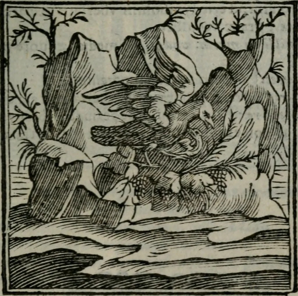 An illustration from Emblemata v. cl. Andreae Alciati : cu imaginibus plerisque restitutis ad mentem auctoris, 1618, leaf 352