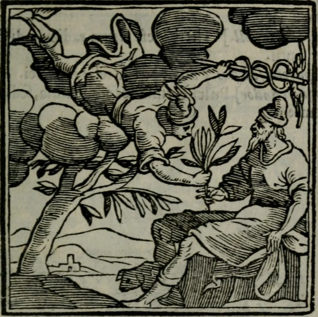 An illustration from Emblemata v. cl. Andreae Alciati : cu imaginibus plerisque restitutis ad mentem auctoris, 1618, leaf 358