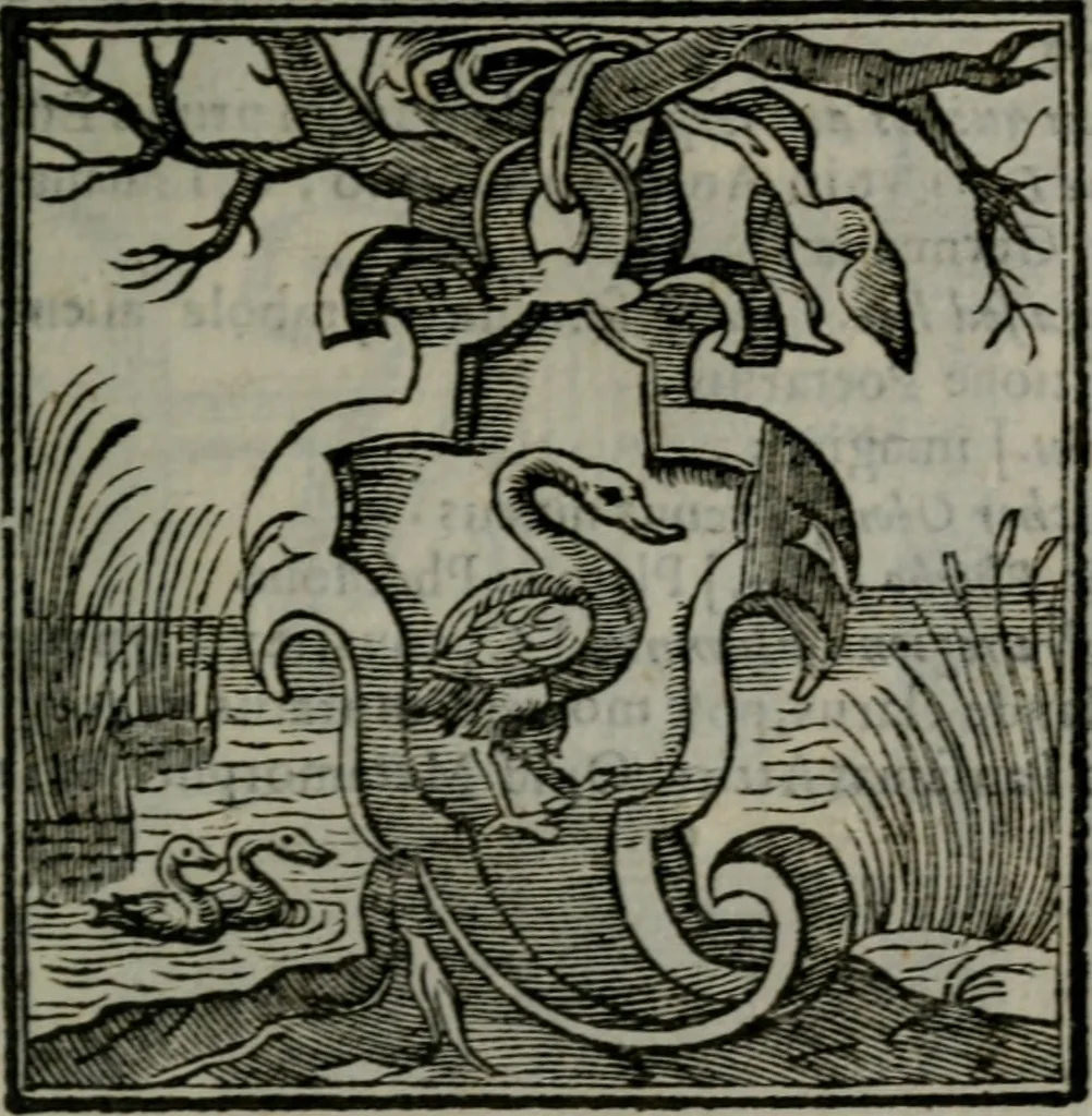 An illustration from Emblemata v. cl. Andreae Alciati : cu imaginibus plerisque restitutis ad mentem auctoris, 1618, leaf 362