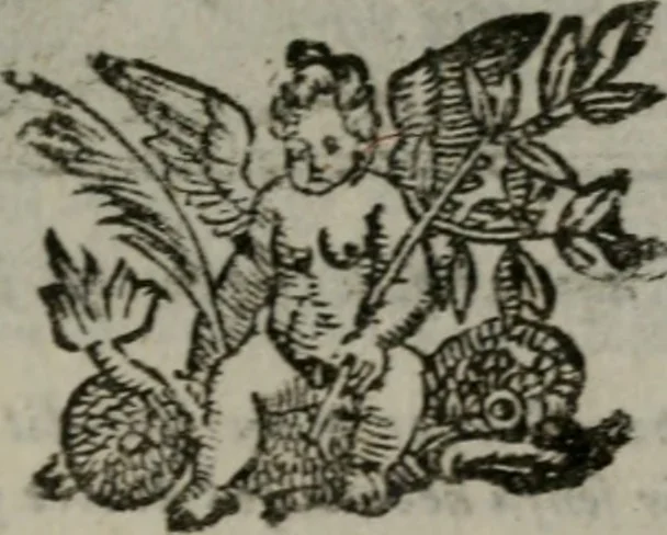 An illustration from Emblemata v. cl. Andreae Alciati : cu imaginibus plerisque restitutis ad mentem auctoris, 1618, leaf 376