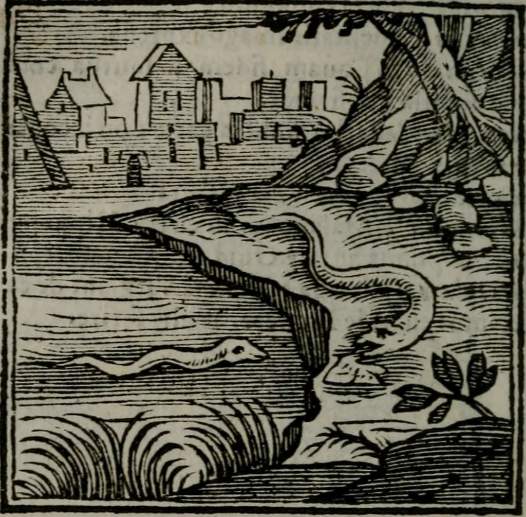 An illustration from Emblemata v. cl. Andreae Alciati : cu imaginibus plerisque restitutis ad mentem auctoris, 1618, leaf 381
