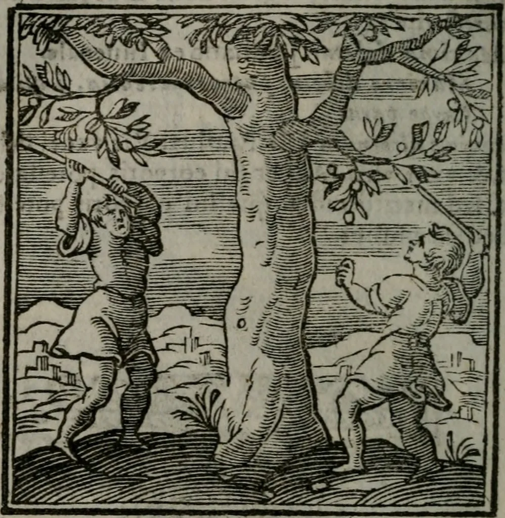 An illustration from Emblemata v. cl. Andreae Alciati : cu imaginibus plerisque restitutis ad mentem auctoris, 1618, leaf 383