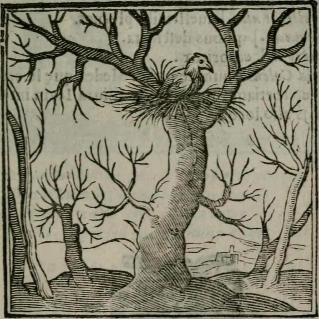 An illustration from Emblemata v. cl. Andreae Alciati : cu imaginibus plerisque restitutis ad mentem auctoris, 1618, leaf 384