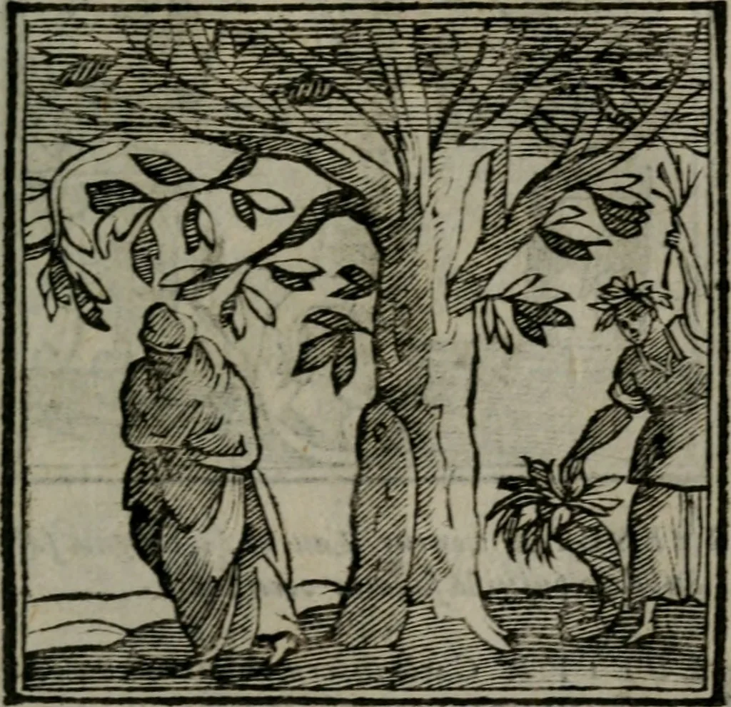An illustration from Emblemata v. cl. Andreae Alciati : cu imaginibus plerisque restitutis ad mentem auctoris, 1618, leaf 406