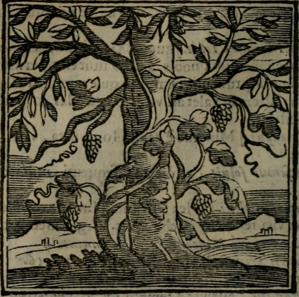 An illustration from Emblemata v. cl. Andreae Alciati : cu imaginibus plerisque restitutis ad mentem auctoris, 1618, leaf 99
