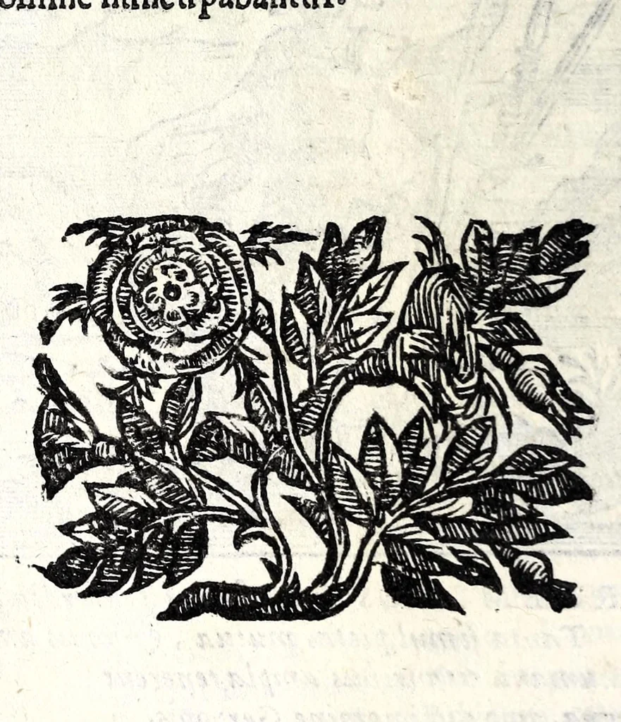 An illustration from Emblemata v. cl. Andreae Alciati : cu[m] imaginibus plerisque restitutis ad mentem auctoris, 1618, leaf 138
