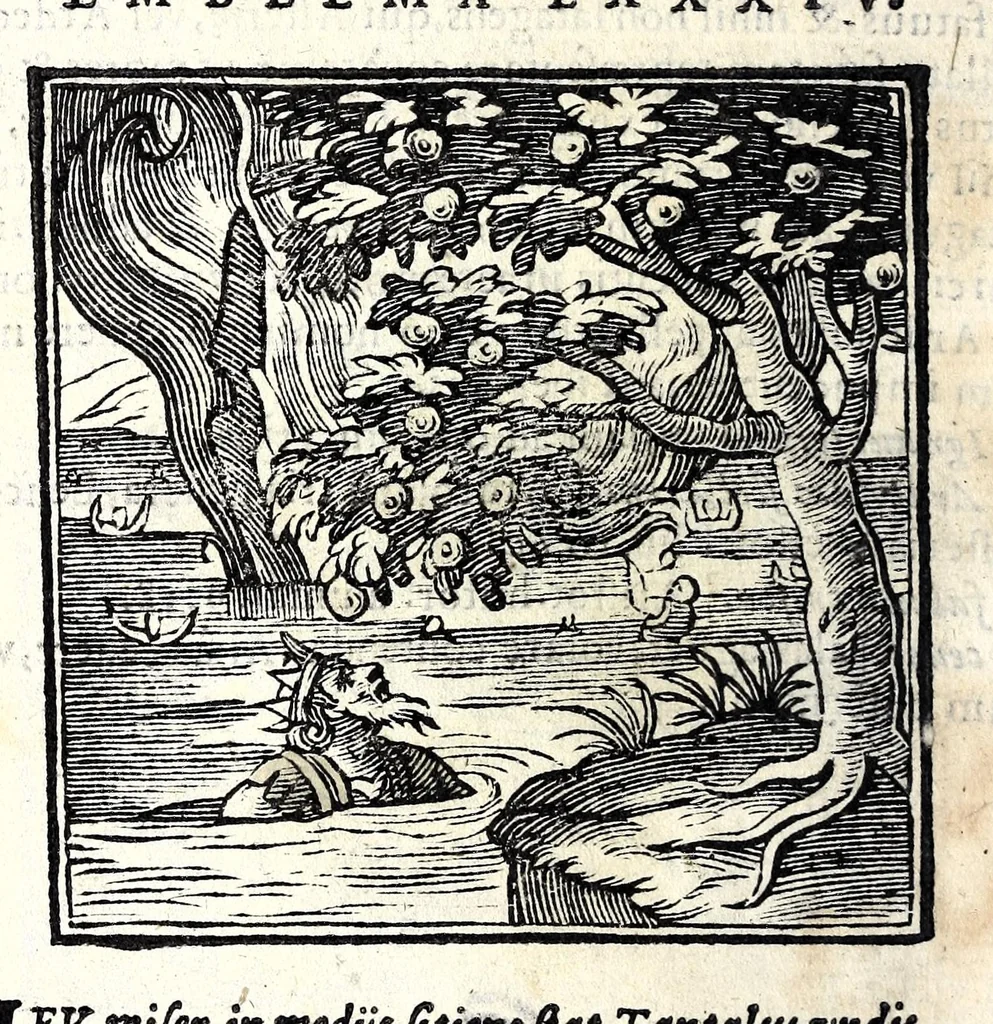An illustration from Emblemata v. cl. Andreae Alciati : cu[m] imaginibus plerisque restitutis ad mentem auctoris, 1618, leaf 208