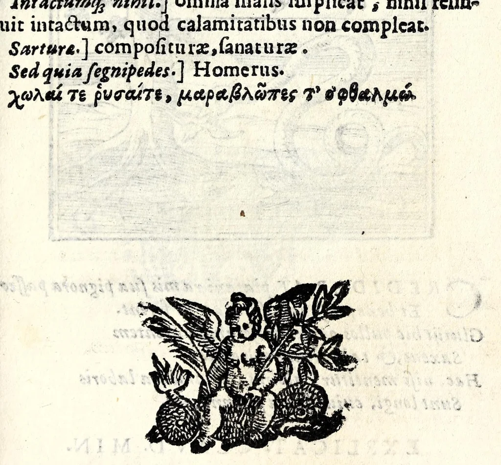 An illustration from Emblemata v. cl. Andreae Alciati : cu[m] imaginibus plerisque restitutis ad mentem auctoris, 1618, leaf 291