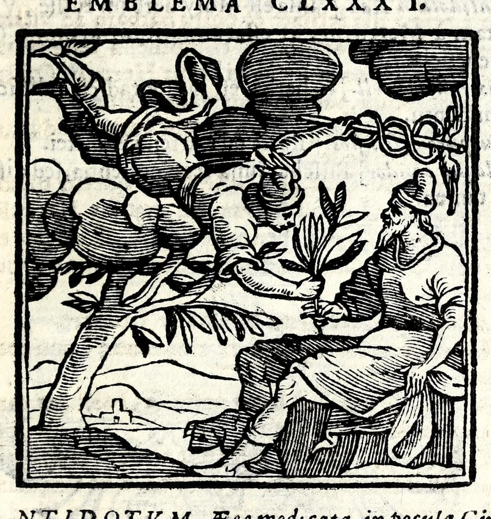 An illustration from Emblemata v. cl. Andreae Alciati : cu[m] imaginibus plerisque restitutis ad mentem auctoris, 1618, leaf 381