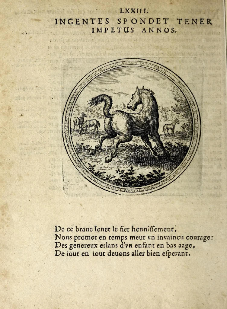 An illustration from Emblematum ethico-politicorum centuria Iulii Guilielmi Zincgrefii, 1624, leaf 166