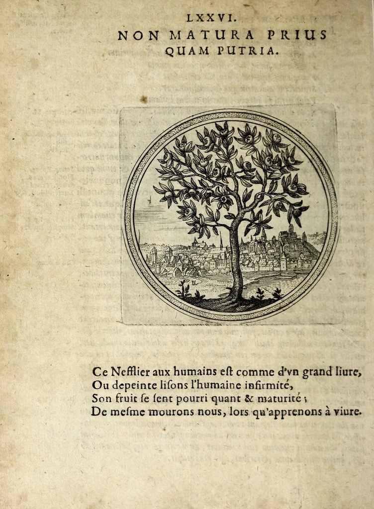 An illustration from Emblematum ethico-politicorum centuria Iulii Guilielmi Zincgrefii, 1624, leaf 172