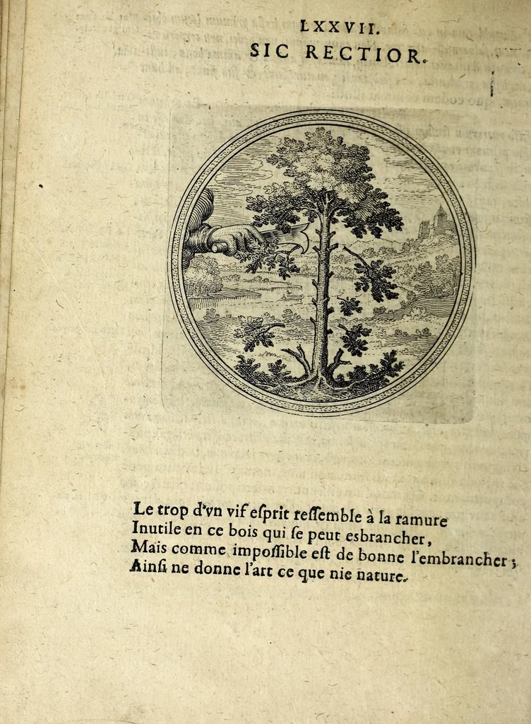 An illustration from Emblematum ethico-politicorum centuria Iulii Guilielmi Zincgrefii, 1624, leaf 174