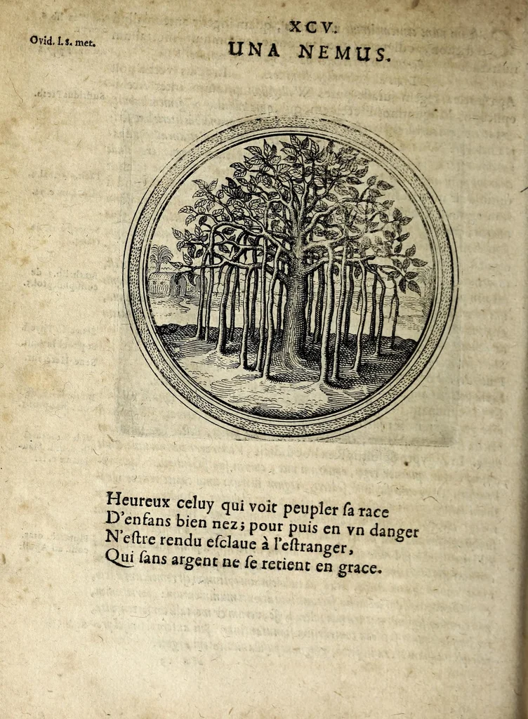 An illustration from Emblematum ethico-politicorum centuria Iulii Guilielmi Zincgrefii, 1624, leaf 210