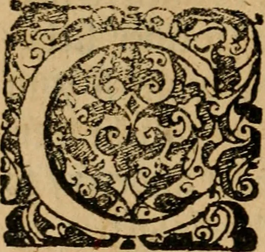 An illustration from Emblematum sacrorum prima[-secunda] pars : das ist, fünfftzig geistlicher in Kupffer gestochener Emblematum ausz der H. Schrifft von dem süssen Namen vnd Creutz Jesu Christi, erster[-ander] Theyl, 1624, leaf 15