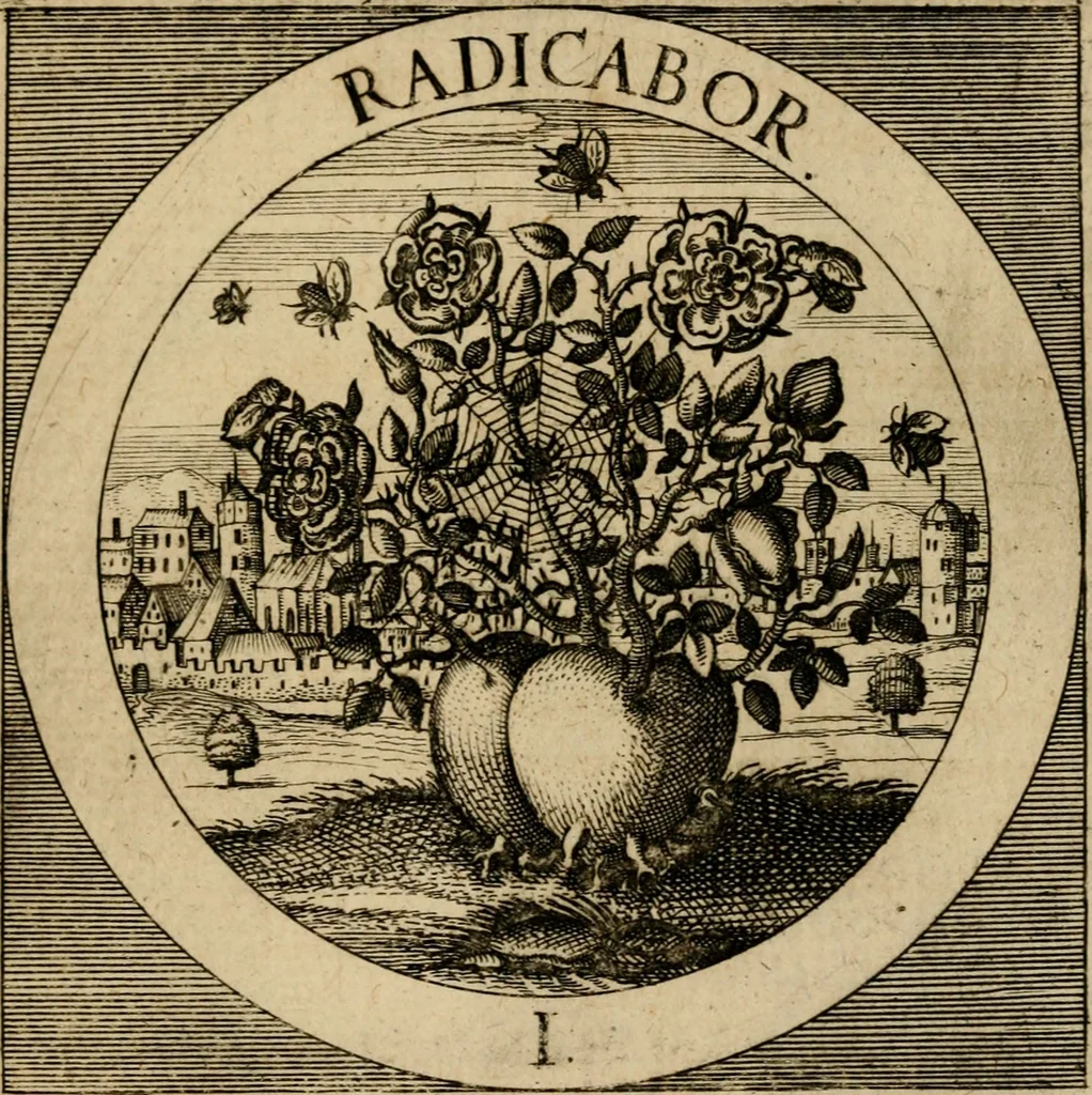 An illustration from Emblematum sacrorum prima[-secunda] pars : das ist, fünfftzig geistlicher in Kupffer gestochener Emblematum ausz der H. Schrifft von dem süssen Namen vnd Creutz Jesu Christi, erster[-ander] Theyl, 1624, leaf 242