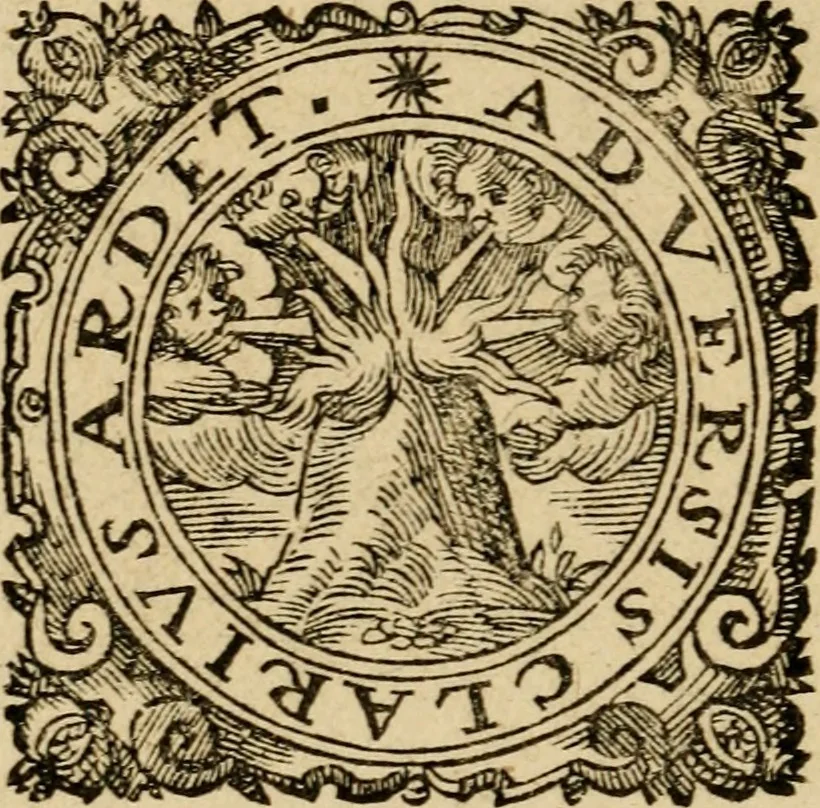 An illustration from Emblematum sacrorum prima[-secunda] pars : das ist, fünfftzig geistlicher in Kupffer gestochener Emblematum ausz der H. Schrifft von dem süssen Namen vnd Creutz Jesu Christi, erster[-ander] Theyl, 1624, leaf 445
