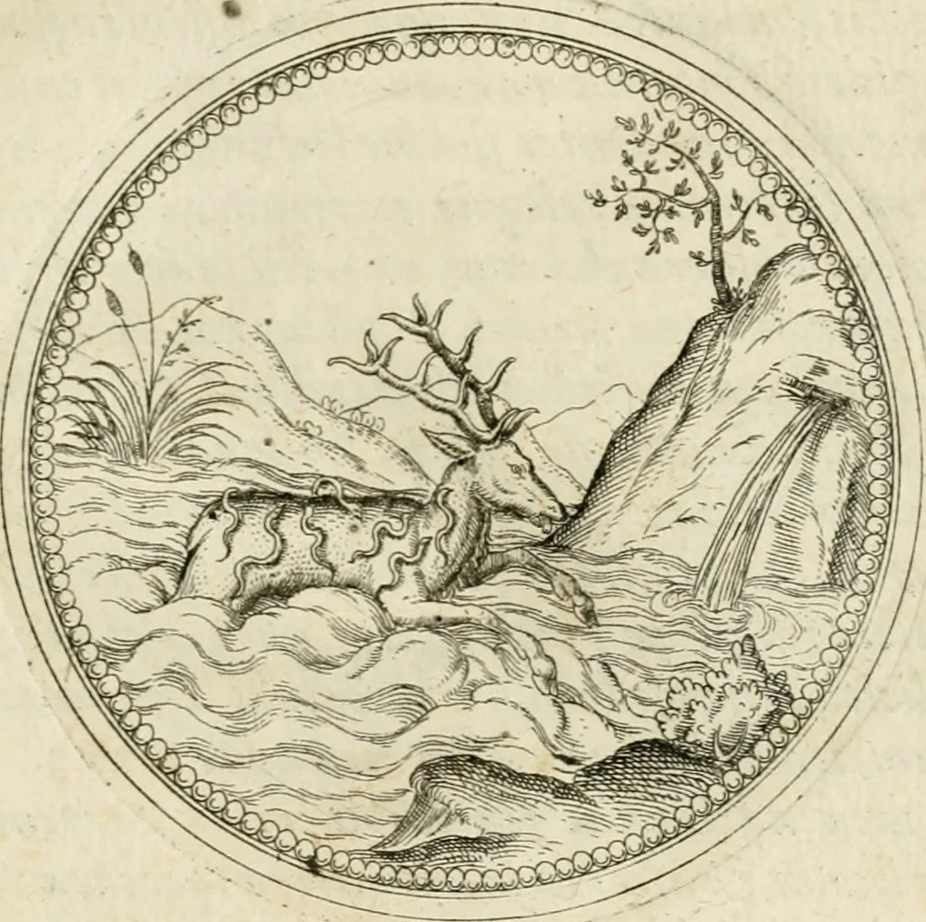 An illustration from Symbolorvm & emblematvm ex animalibvs qvadrvpedibvs desvmtorvm centvria altera, 1595, leaf 100