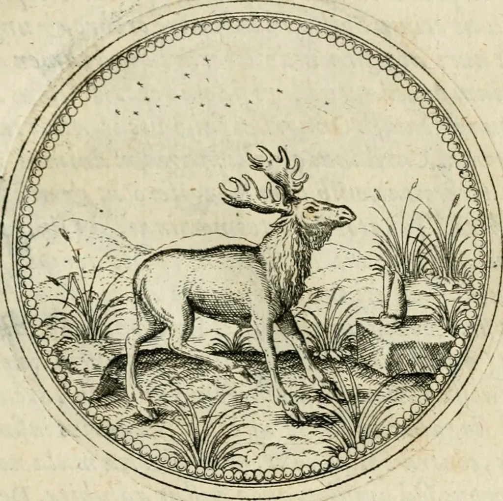 An illustration from Symbolorvm & emblematvm ex animalibvs qvadrvpedibvs desvmtorvm centvria altera, 1595, leaf 108