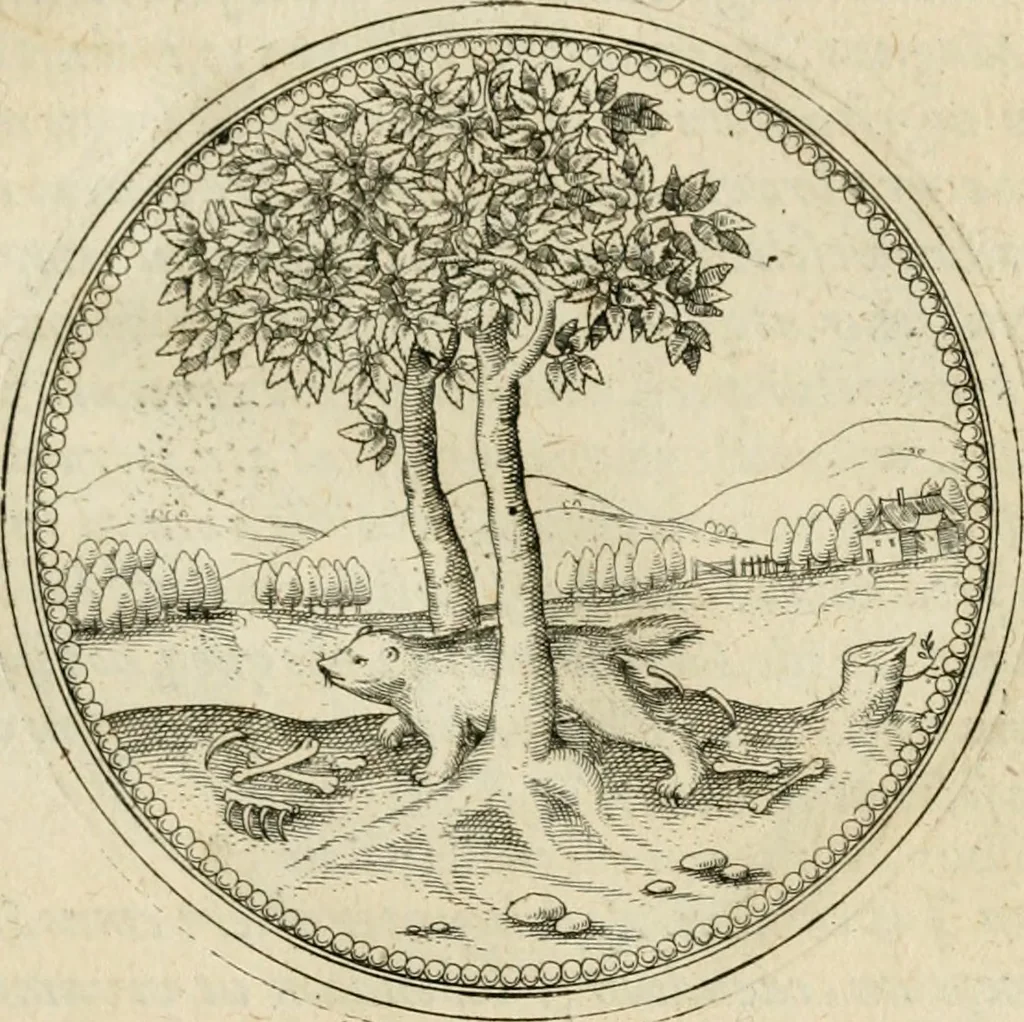 An illustration from Symbolorvm & emblematvm ex animalibvs qvadrvpedibvs desvmtorvm centvria altera, 1595, leaf 124