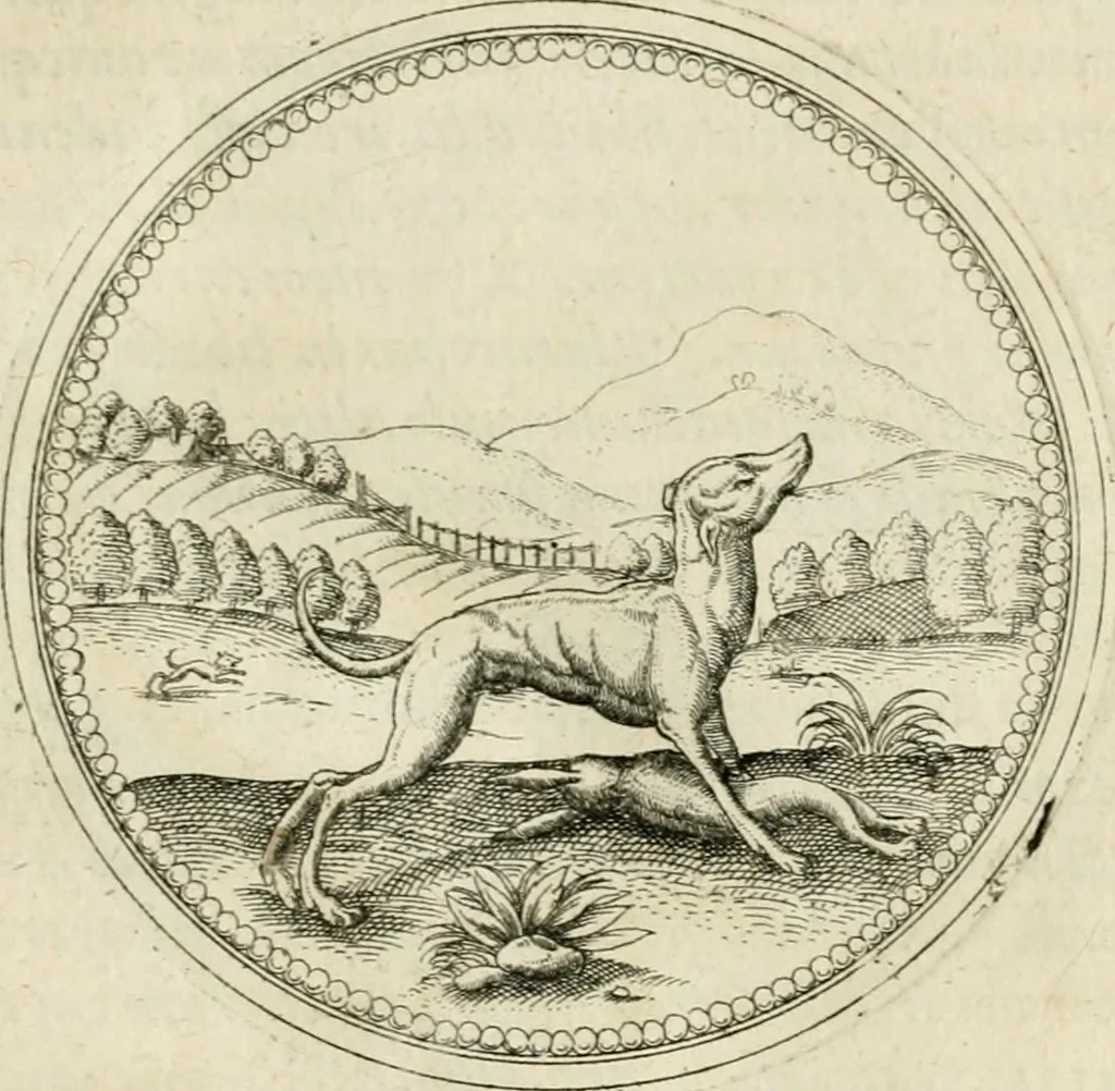 An illustration from Symbolorvm & emblematvm ex animalibvs qvadrvpedibvs desvmtorvm centvria altera, 1595, leaf 142