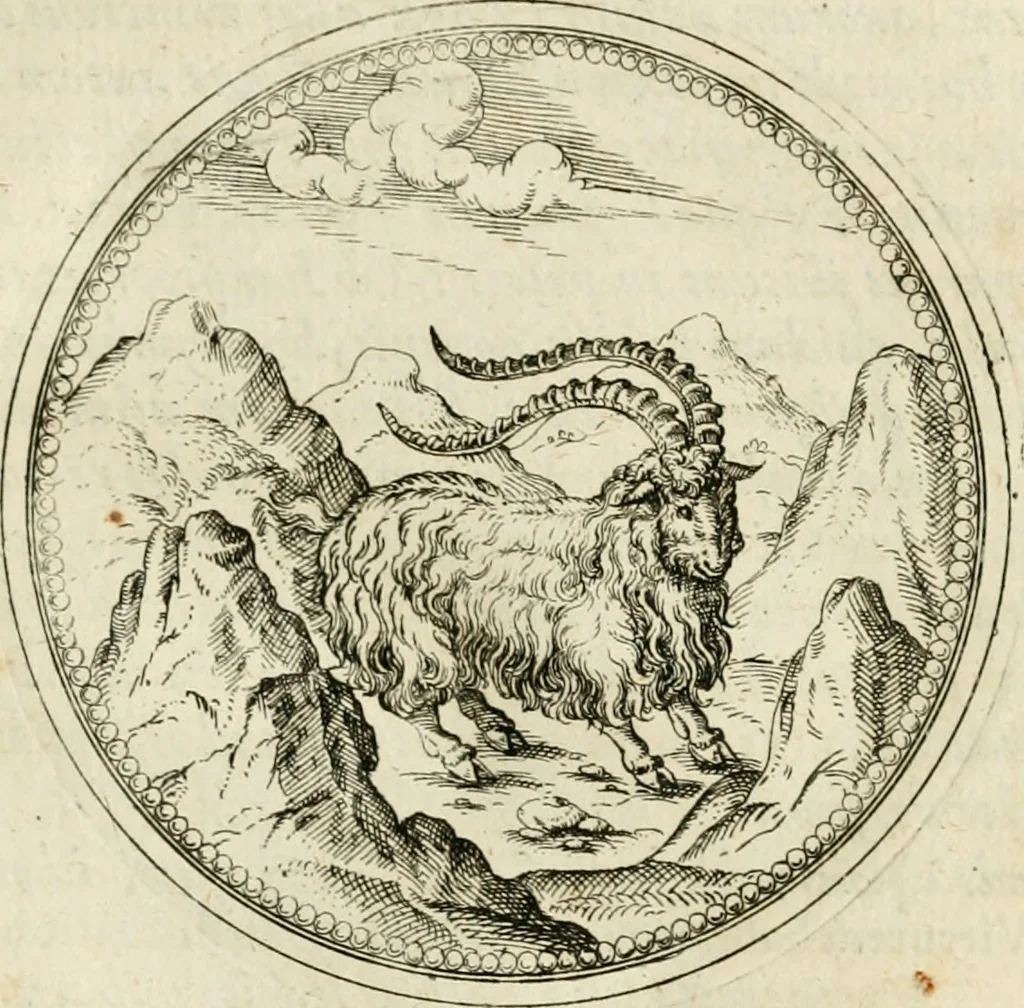 An illustration from Symbolorvm & emblematvm ex animalibvs qvadrvpedibvs desvmtorvm centvria altera, 1595, leaf 148