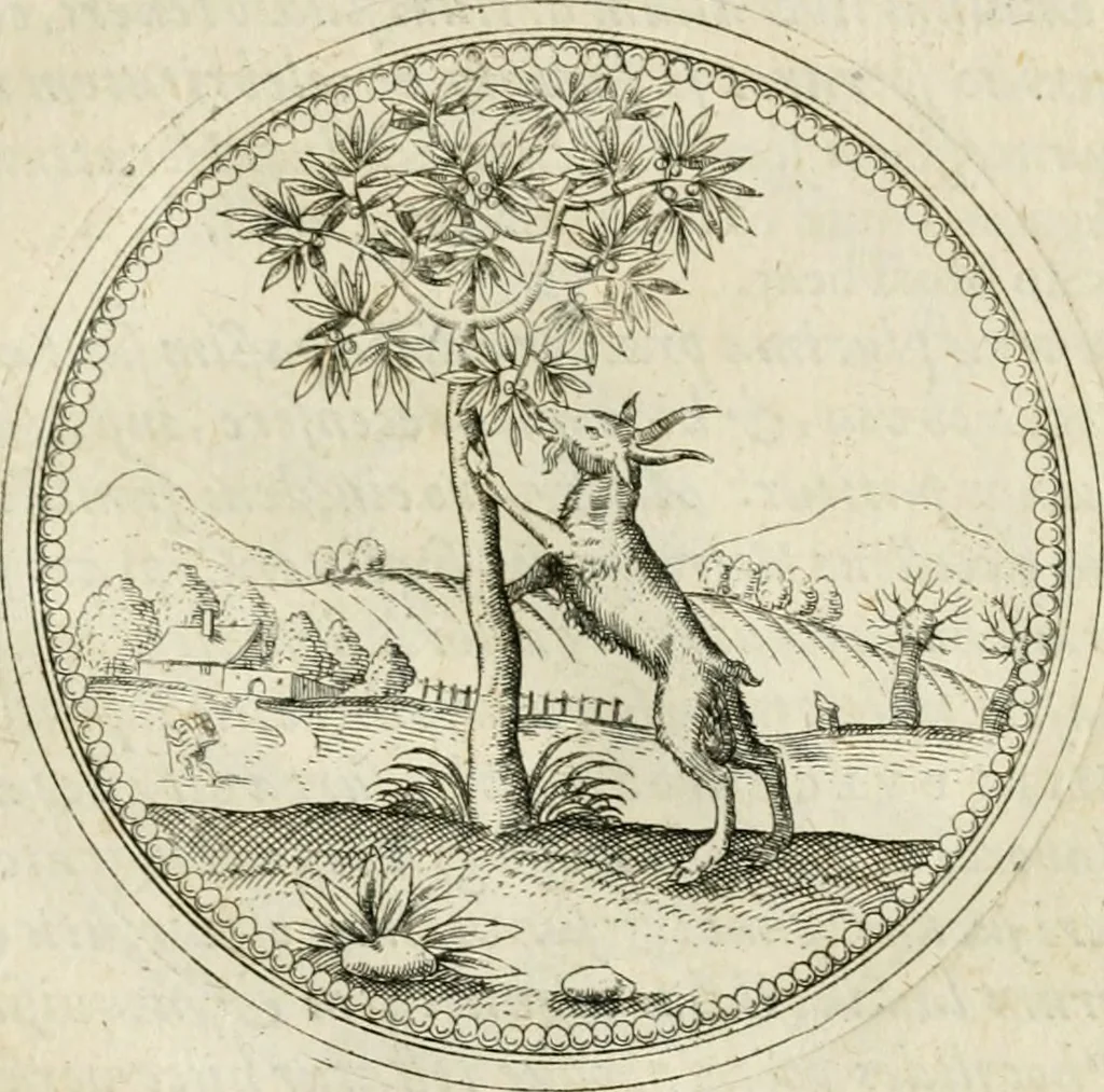 An illustration from Symbolorvm & emblematvm ex animalibvs qvadrvpedibvs desvmtorvm centvria altera, 1595, leaf 150