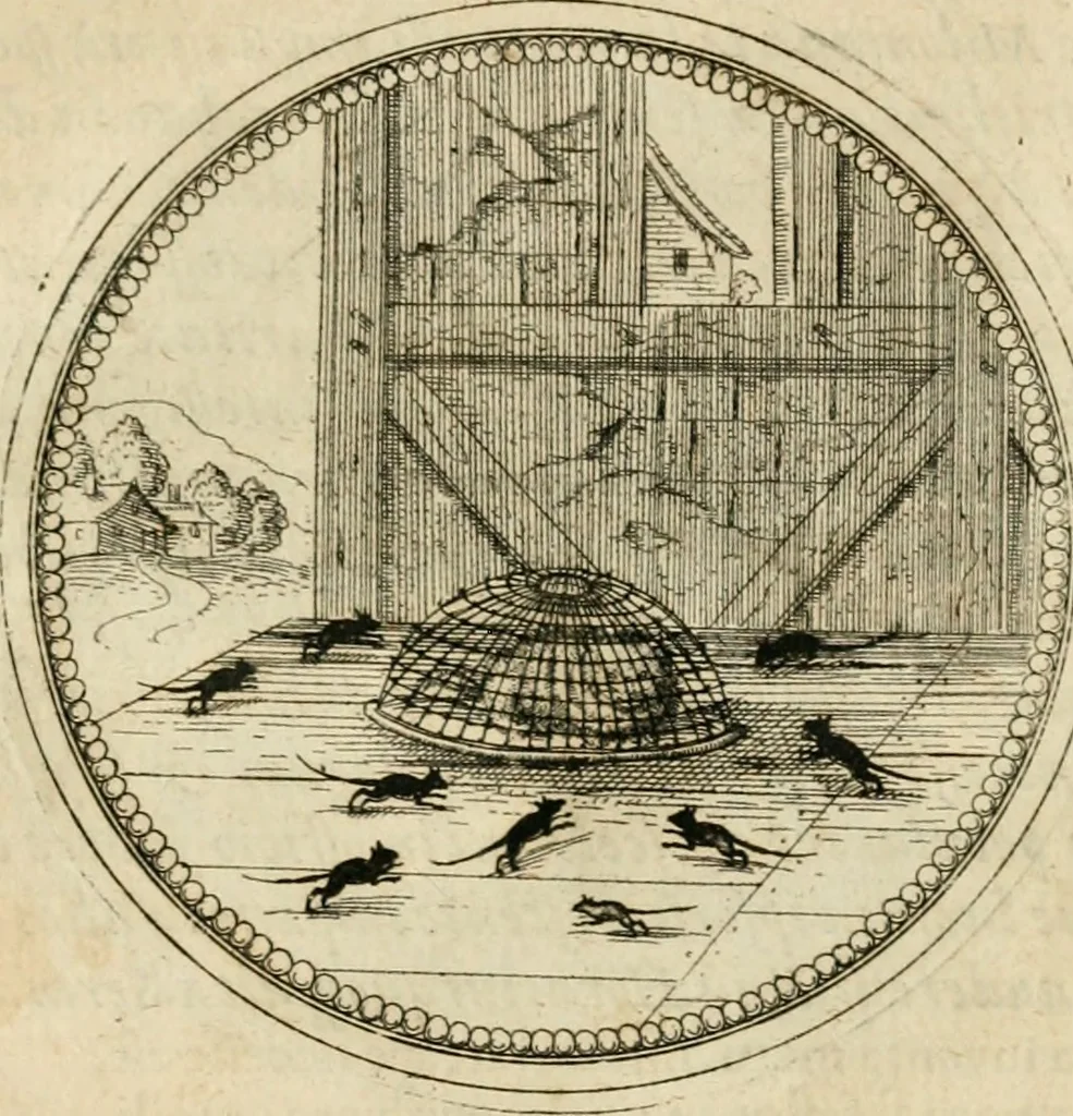 An illustration from Symbolorvm & emblematvm ex animalibvs qvadrvpedibvs desvmtorvm centvria altera, 1595, leaf 194