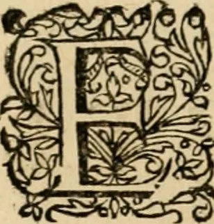 An illustration from Symbolorvm & emblematvm ex animalibvs qvadrvpedibvs desvmtorvm centvria altera, 1595, leaf 199