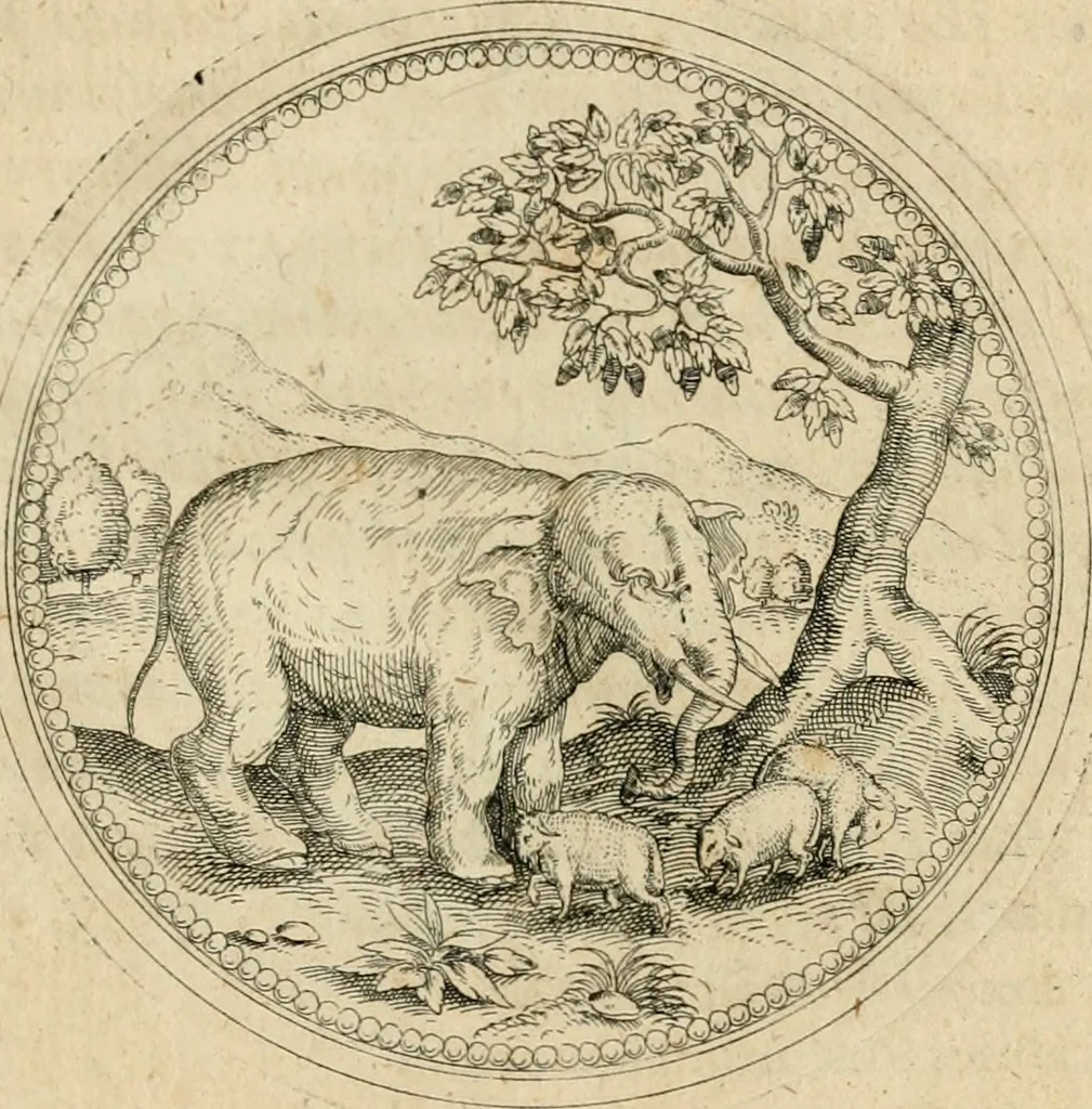 An illustration from Symbolorvm & emblematvm ex animalibvs qvadrvpedibvs desvmtorvm centvria altera, 1595, leaf 20