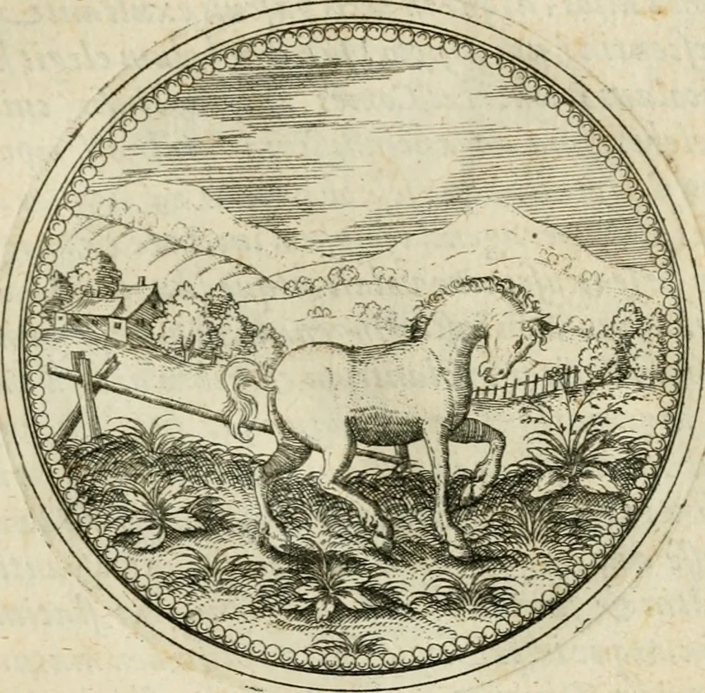 An illustration from Symbolorvm & emblematvm ex animalibvs qvadrvpedibvs desvmtorvm centvria altera, 1595, leaf 74