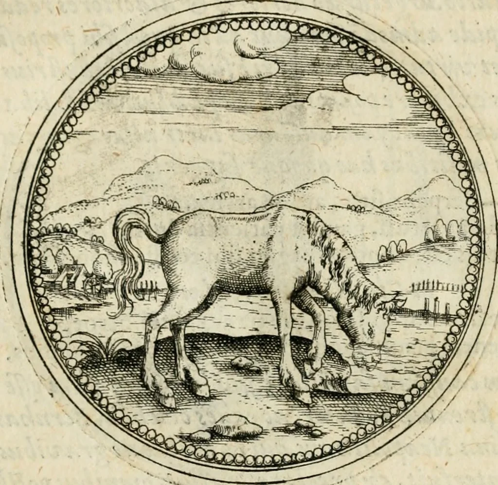 An illustration from Symbolorvm & emblematvm ex animalibvs qvadrvpedibvs desvmtorvm centvria altera, 1595, leaf 76