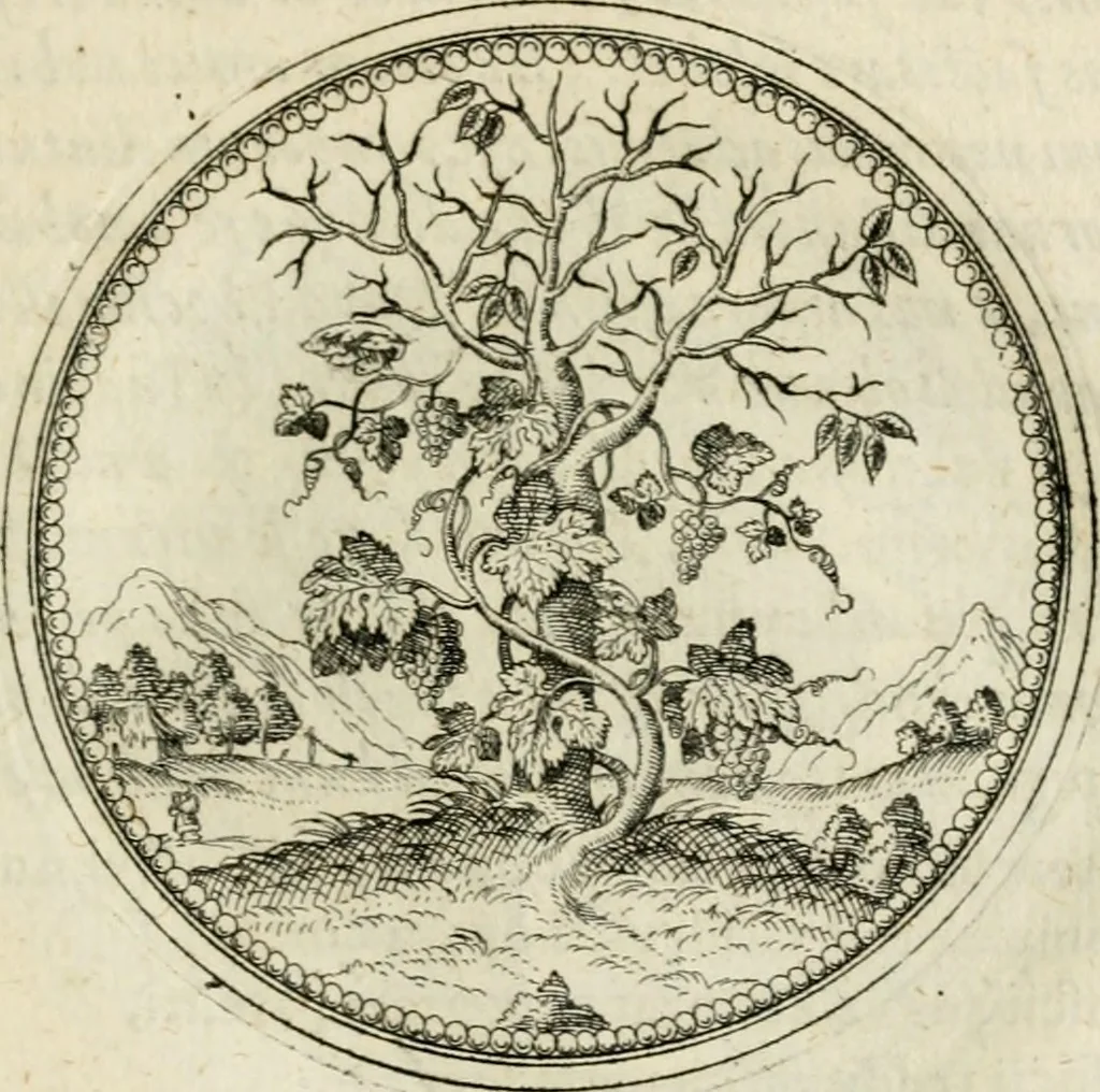 An illustration from Symbolorvm & emblematvm ex re herbaria desvmtorvm centvria vna, 1590, leaf 102