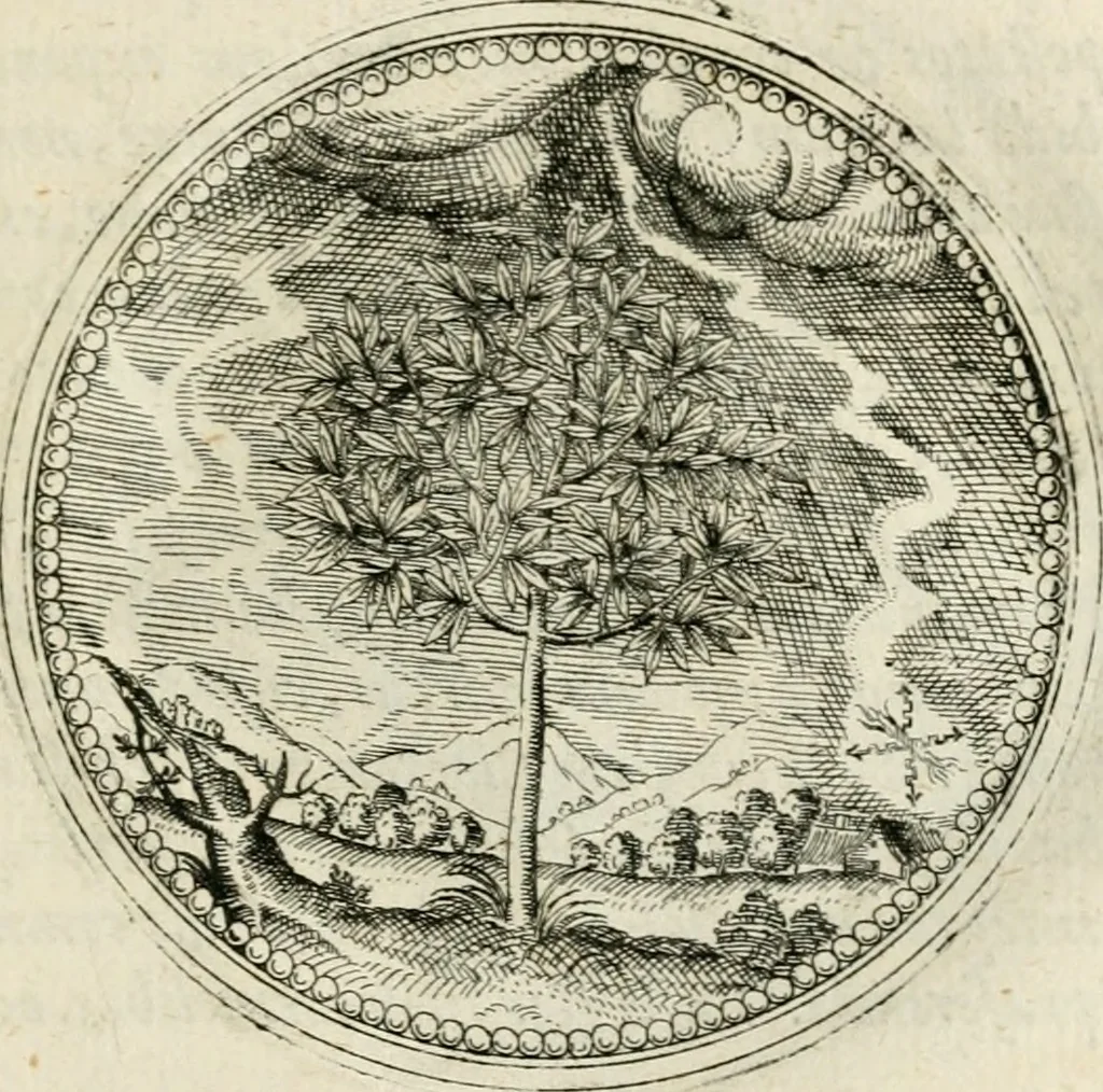 An illustration from Symbolorvm & emblematvm ex re herbaria desvmtorvm centvria vna, 1590, leaf 104