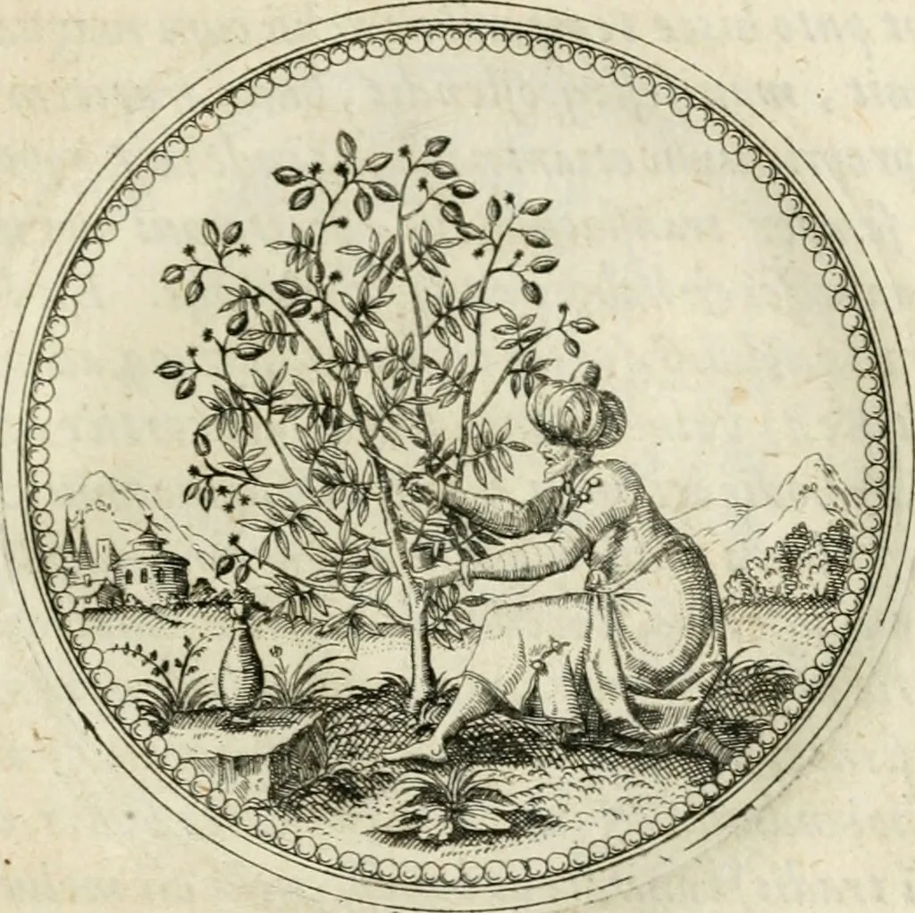 An illustration from Symbolorvm & emblematvm ex re herbaria desvmtorvm centvria vna, 1590, leaf 106