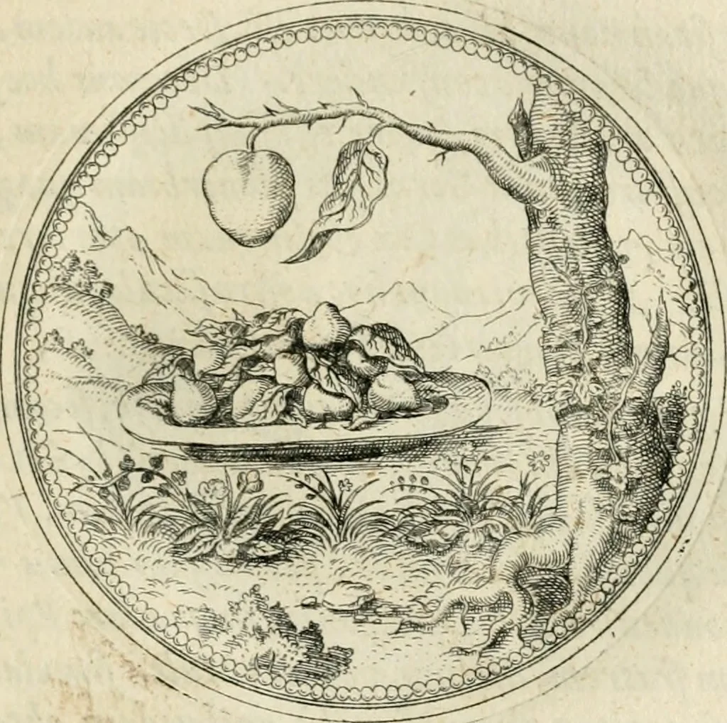 An illustration from Symbolorvm & emblematvm ex re herbaria desvmtorvm centvria vna, 1590, leaf 122