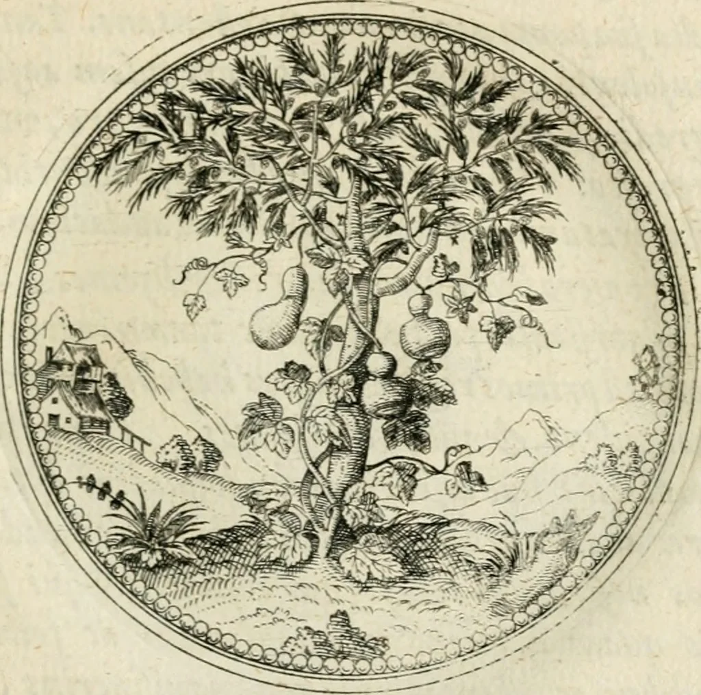 An illustration from Symbolorvm & emblematvm ex re herbaria desvmtorvm centvria vna, 1590, leaf 124