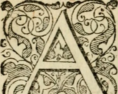 An illustration from Symbolorvm & emblematvm ex re herbaria desvmtorvm centvria vna, 1590, leaf 125