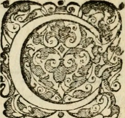 An illustration from Symbolorvm & emblematvm ex re herbaria desvmtorvm centvria vna, 1590, leaf 127