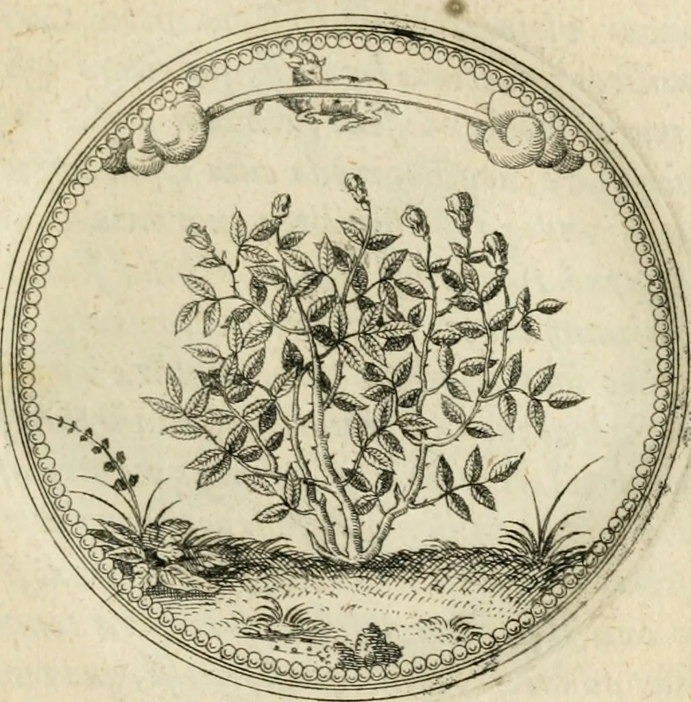 An illustration from Symbolorvm & emblematvm ex re herbaria desvmtorvm centvria vna, 1590, leaf 130