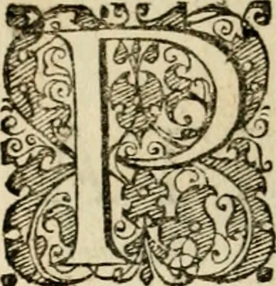 An illustration from Symbolorvm & emblematvm ex re herbaria desvmtorvm centvria vna, 1590, leaf 141