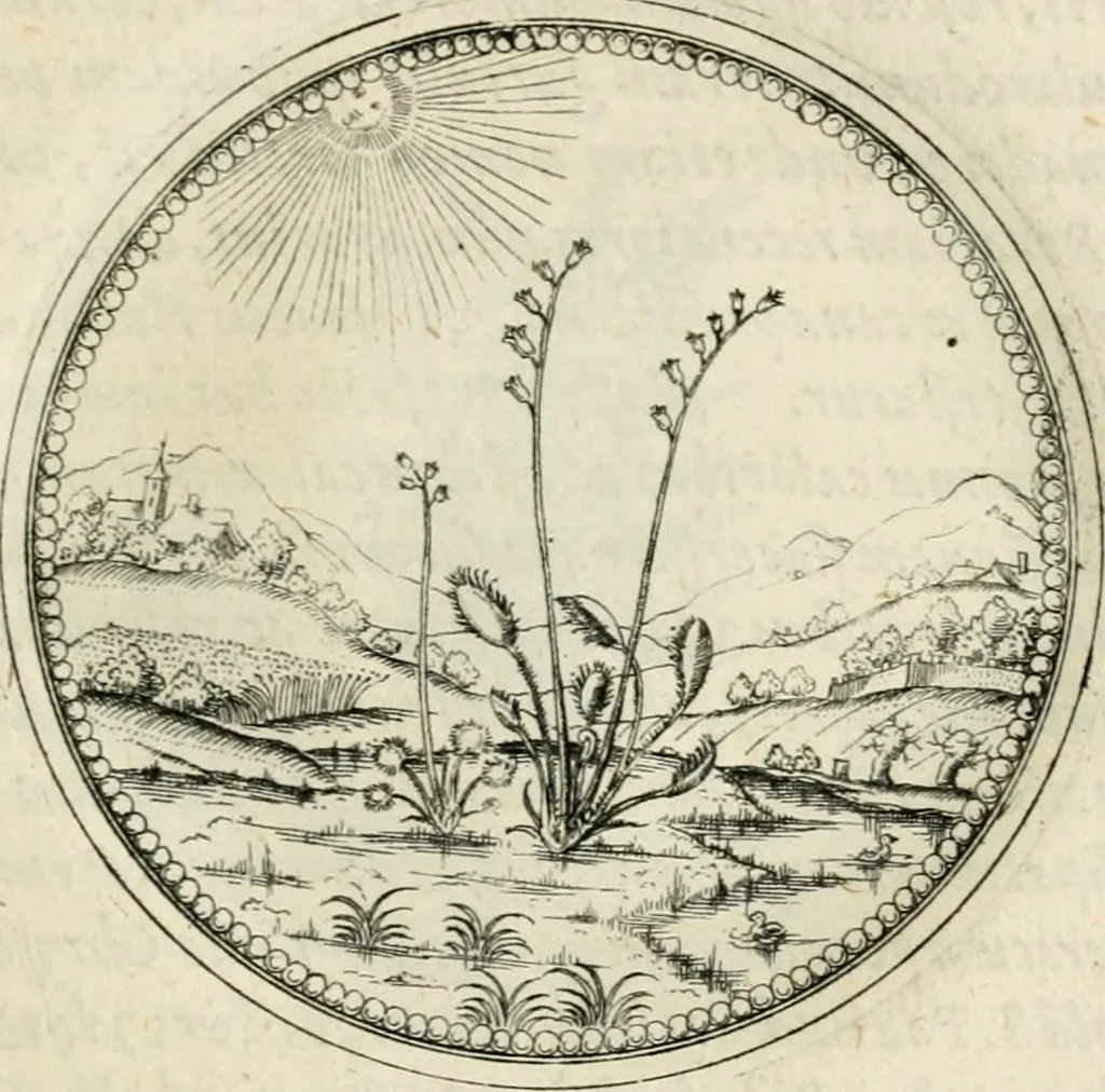 An illustration from Symbolorvm & emblematvm ex re herbaria desvmtorvm centvria vna, 1590, leaf 154