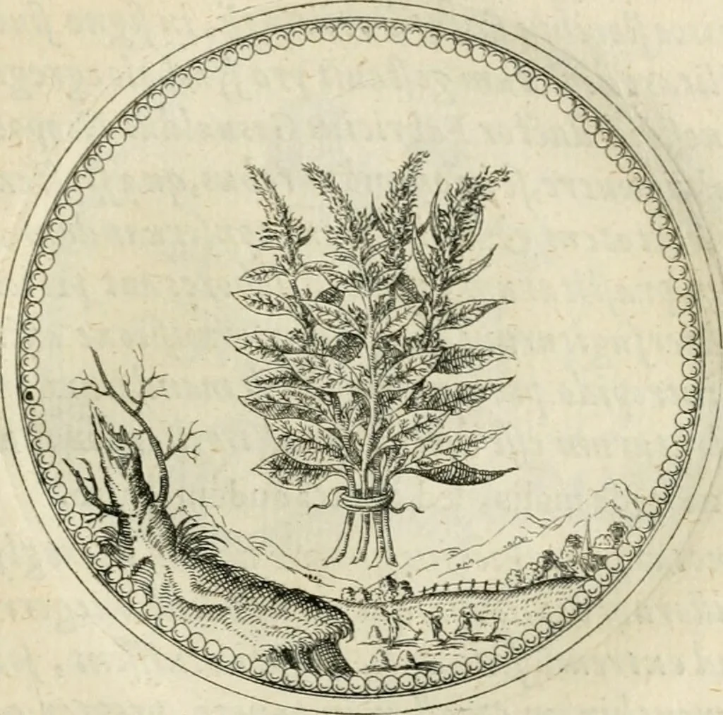 An illustration from Symbolorvm & emblematvm ex re herbaria desvmtorvm centvria vna, 1590, leaf 156