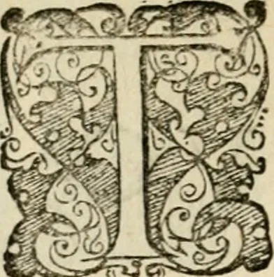 An illustration from Symbolorvm & emblematvm ex re herbaria desvmtorvm centvria vna, 1590, leaf 159