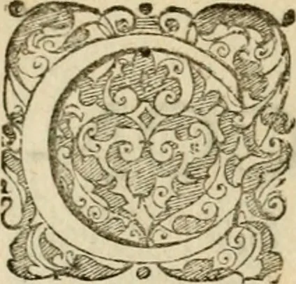 An illustration from Symbolorvm & emblematvm ex re herbaria desvmtorvm centvria vna, 1590, leaf 163