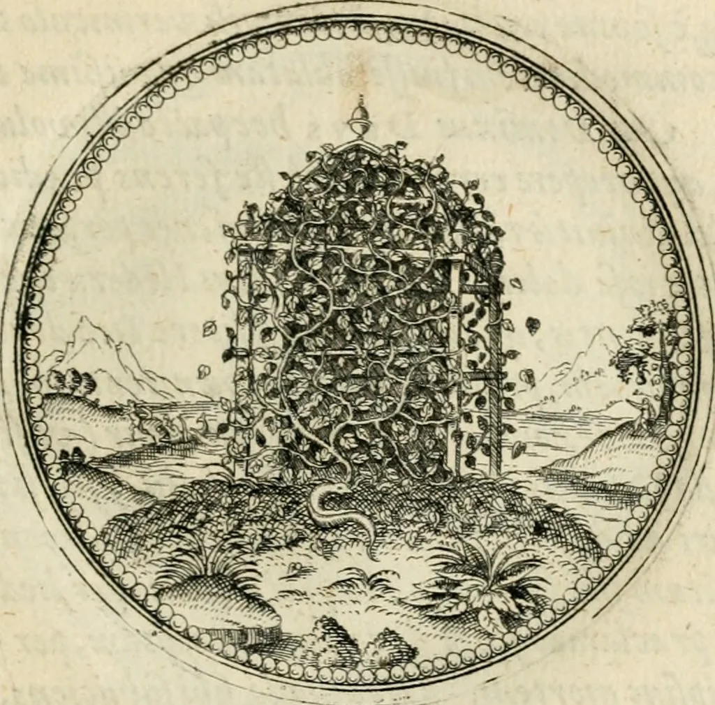 An illustration from Symbolorvm & emblematvm ex re herbaria desvmtorvm centvria vna, 1590, leaf 164